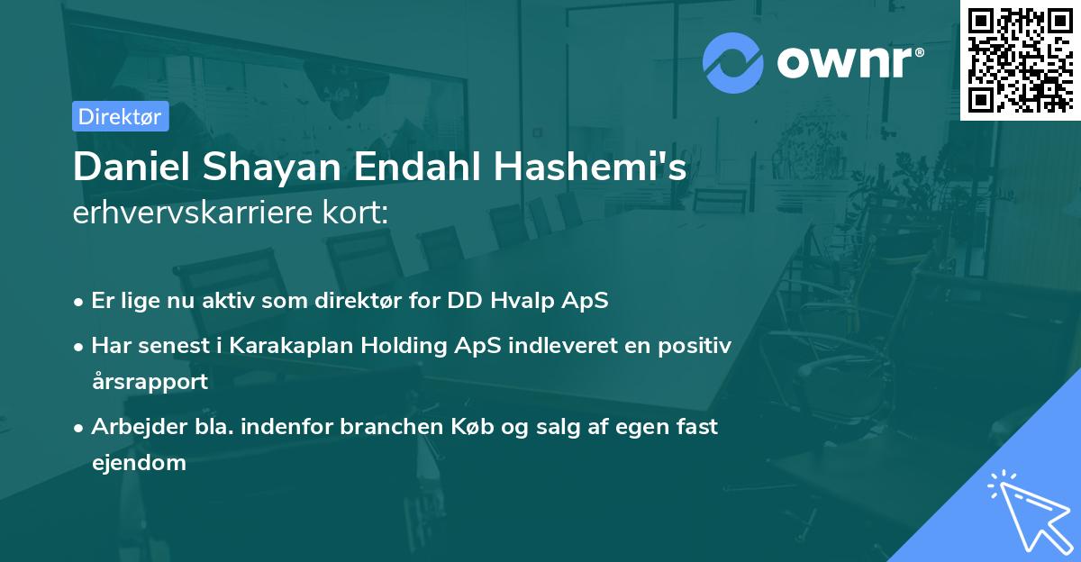 Daniel Shayan Endahl Hashemi's erhvervskarriere kort