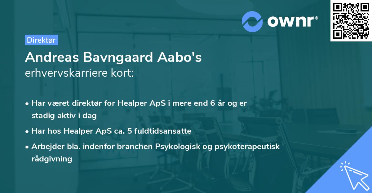 Andreas Bavngaard Aabo's erhvervskarriere kort