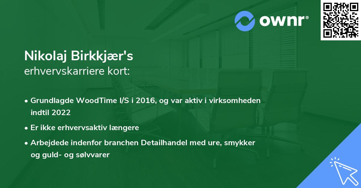 Nikolaj Birkkjær's erhvervskarriere kort