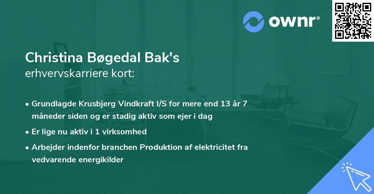 Christina Bøgedal Bak's erhvervskarriere kort