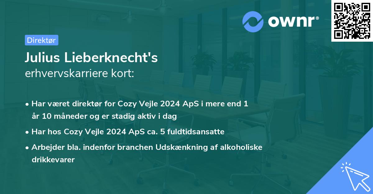 Julius Lieberknecht's erhvervskarriere kort