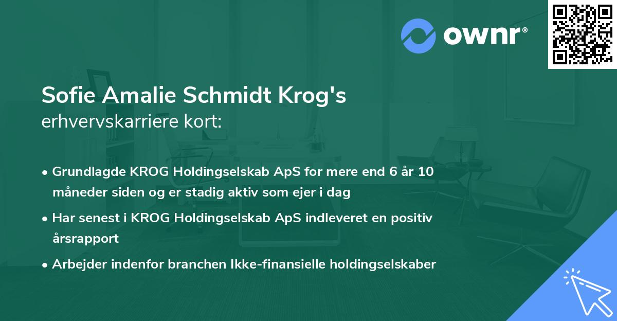 Sofie Amalie Schmidt Krog's erhvervskarriere kort