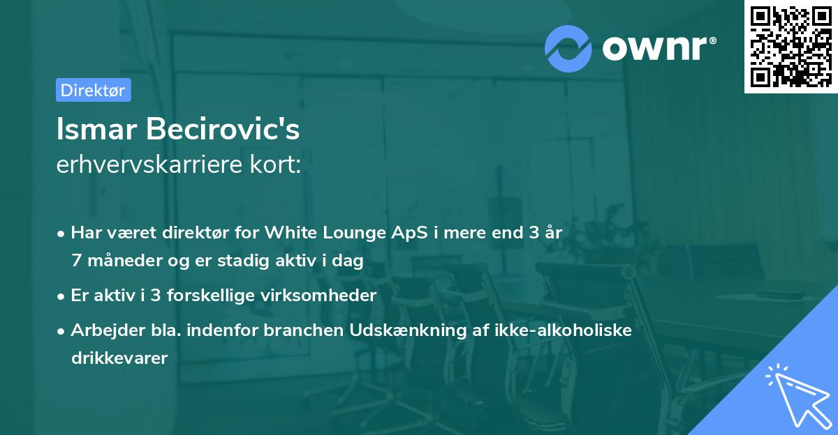 Ismar Becirovic's erhvervskarriere kort