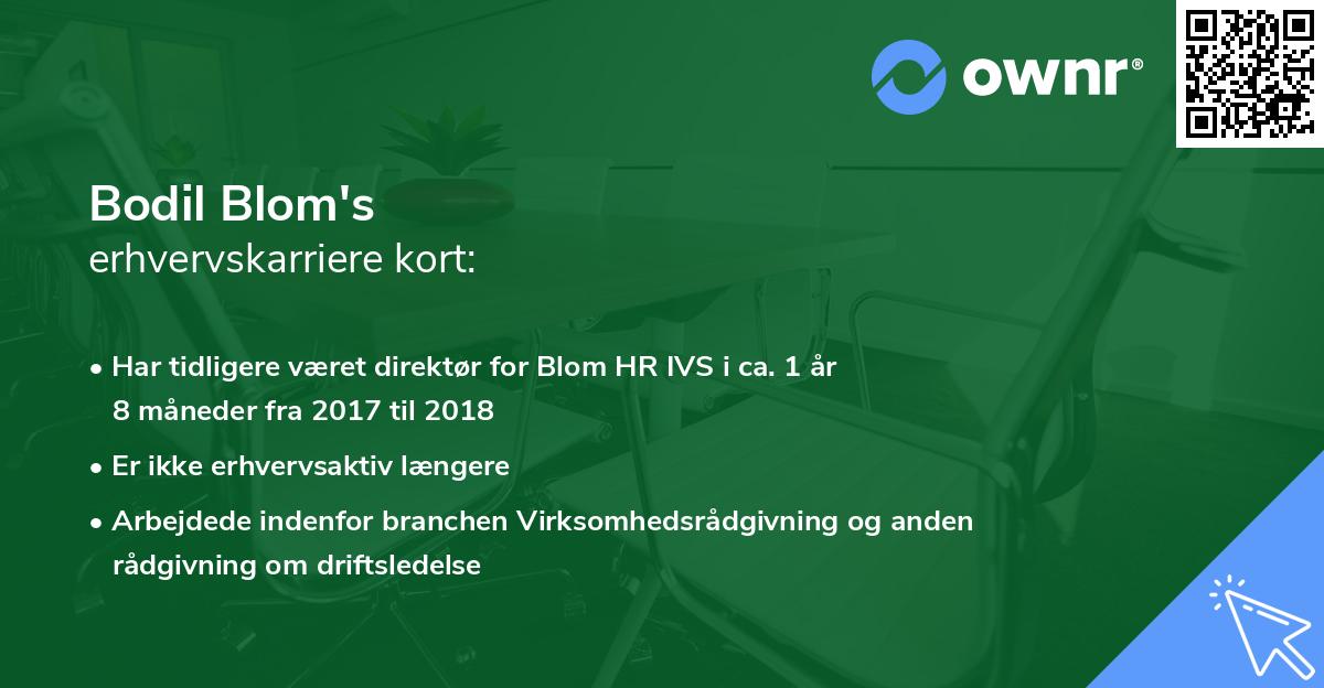 Bodil Blom's erhvervskarriere kort