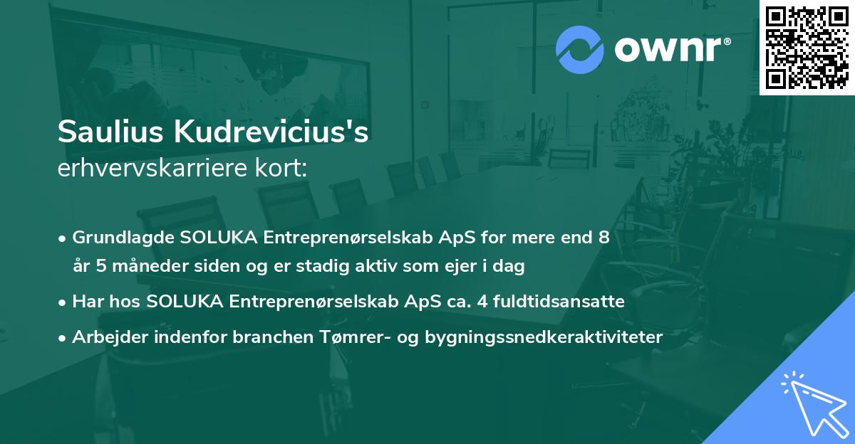 Saulius Kudrevicius's erhvervskarriere kort