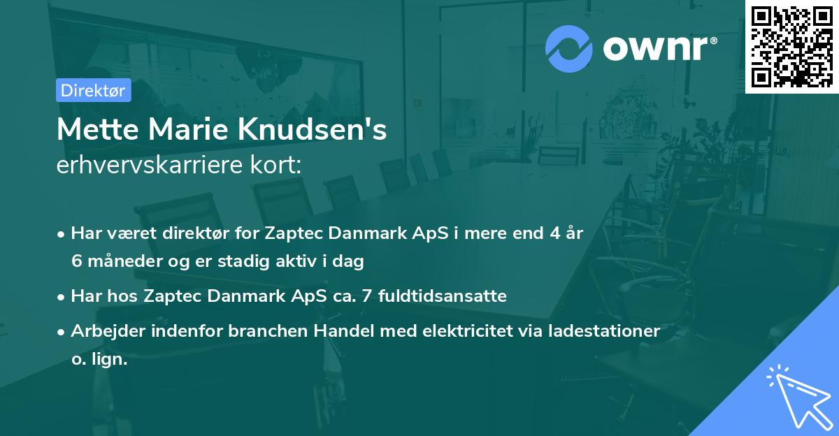 Mette Marie Knudsen's erhvervskarriere kort