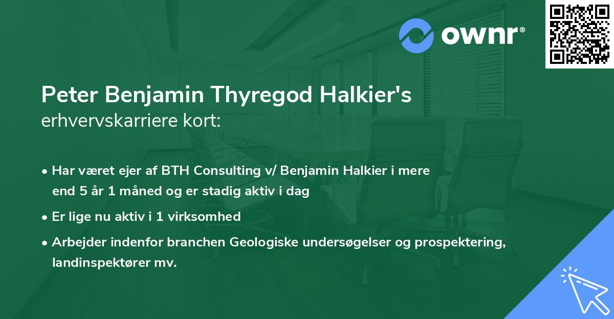 Peter Benjamin Thyregod Halkier's erhvervskarriere kort