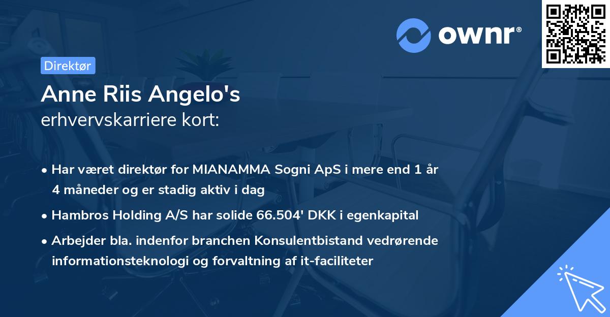 Anne Riis Angelo's erhvervskarriere kort