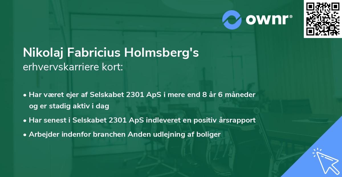 Nikolaj Fabricius Holmsberg's erhvervskarriere kort