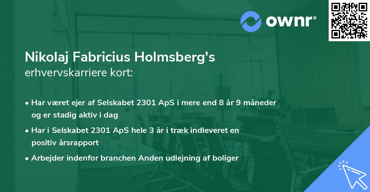 Nikolaj Fabricius Holmsberg's erhvervskarriere kort