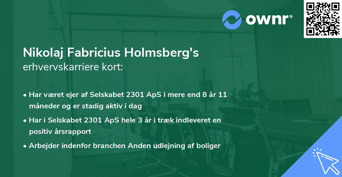 Nikolaj Fabricius Holmsberg's erhvervskarriere kort