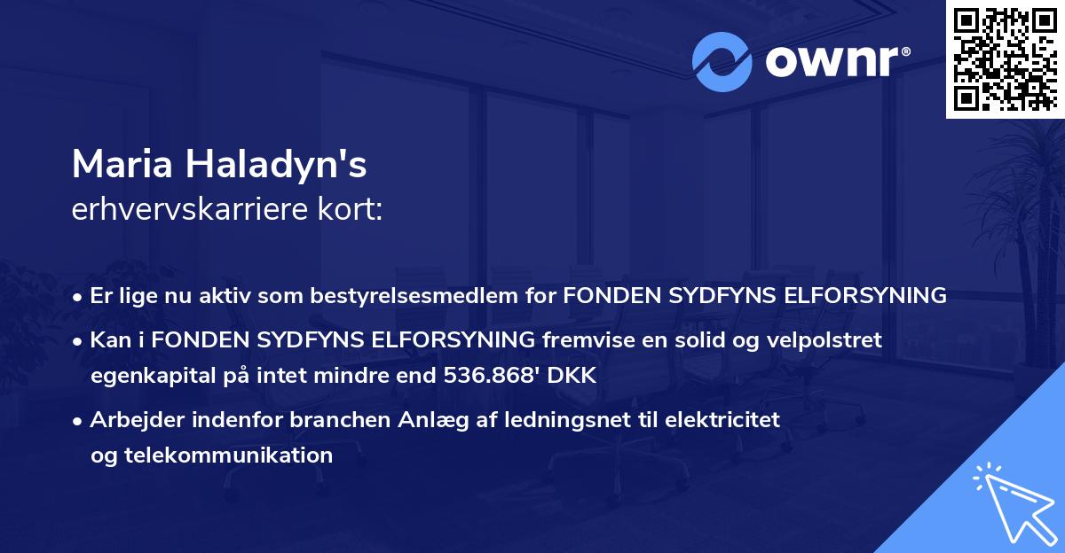 Maria Haladyn's erhvervskarriere kort