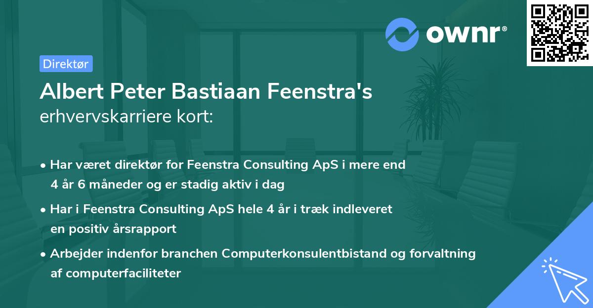 Albert Peter Bastiaan Feenstra's erhvervskarriere kort