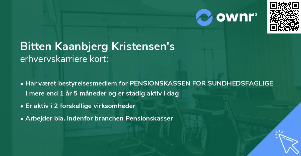 Bitten Kaanbjerg Kristensen's erhvervskarriere kort