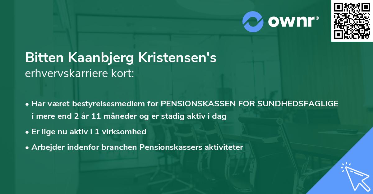 Bitten Kaanbjerg Kristensen's erhvervskarriere kort