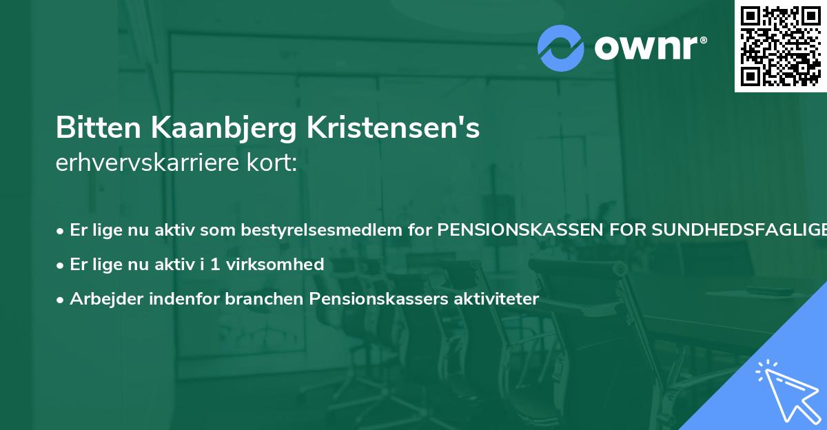 Bitten Kaanbjerg Kristensen's erhvervskarriere kort