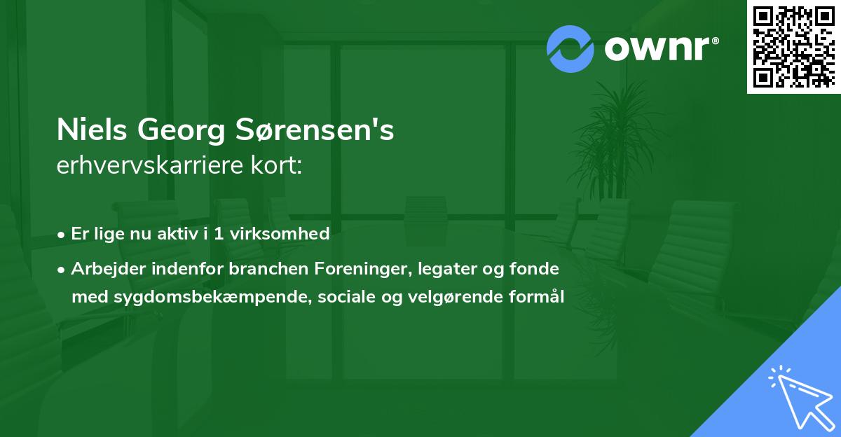 Niels Georg Sørensen's erhvervskarriere kort