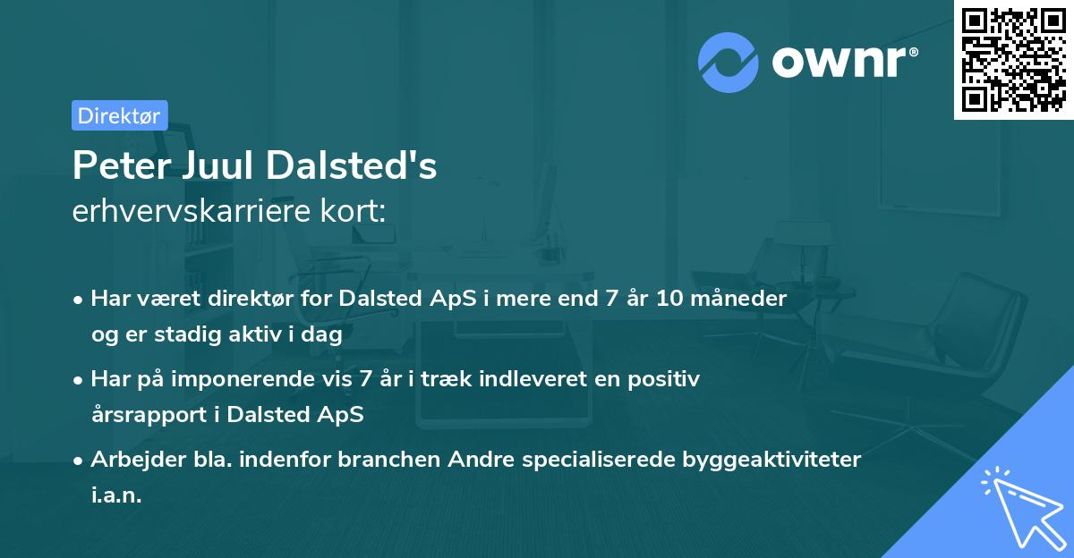 Peter Juul Dalsted's erhvervskarriere kort