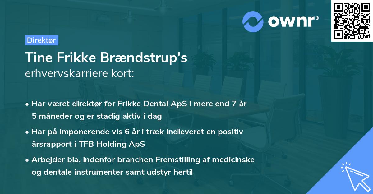 Tine Frikke Brændstrup's erhvervskarriere kort