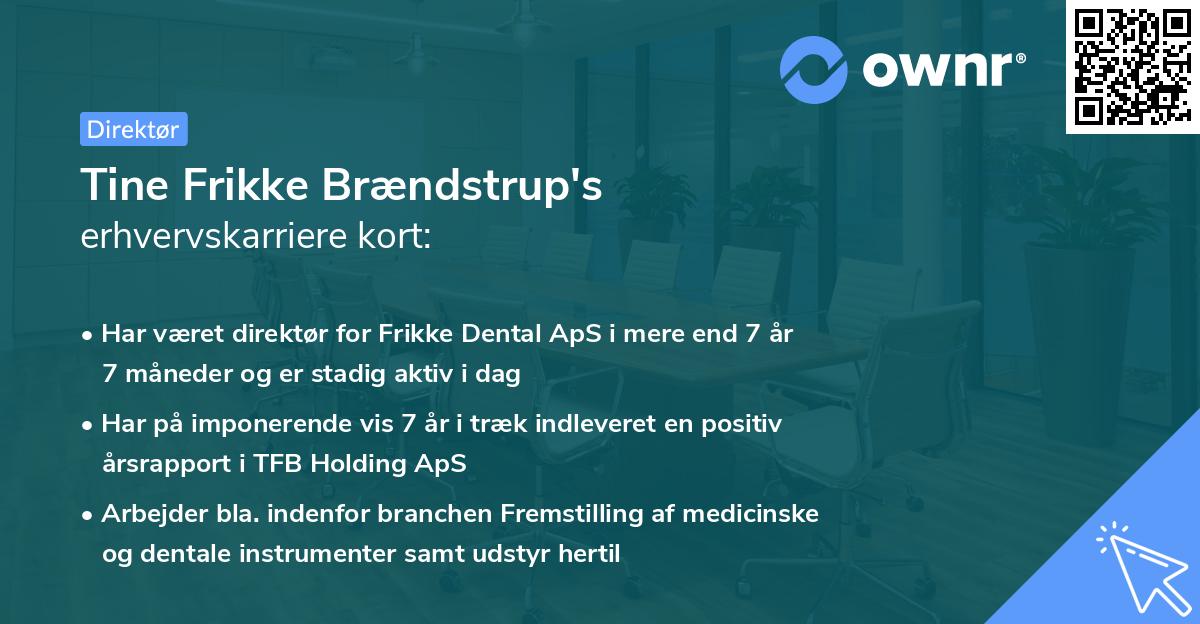 Tine Frikke Brændstrup's erhvervskarriere kort