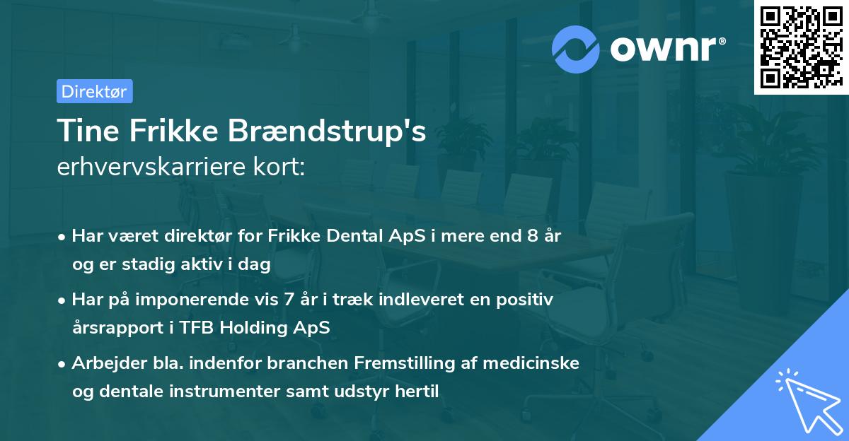 Tine Frikke Brændstrup's erhvervskarriere kort