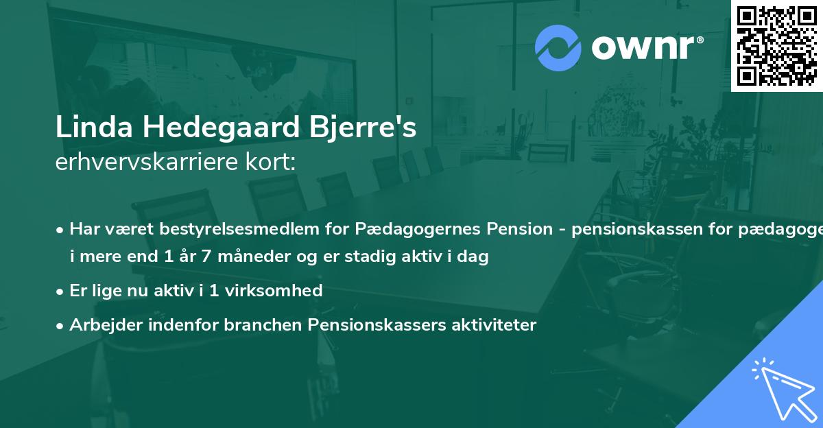 Linda Hedegaard Bjerre's erhvervskarriere kort