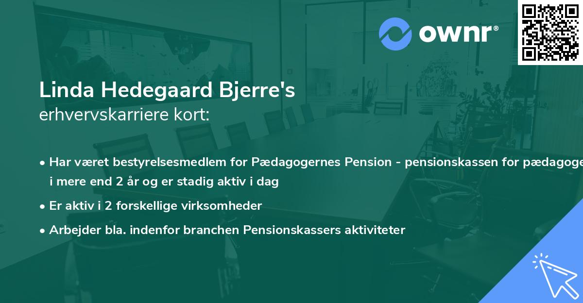 Linda Hedegaard Bjerre's erhvervskarriere kort
