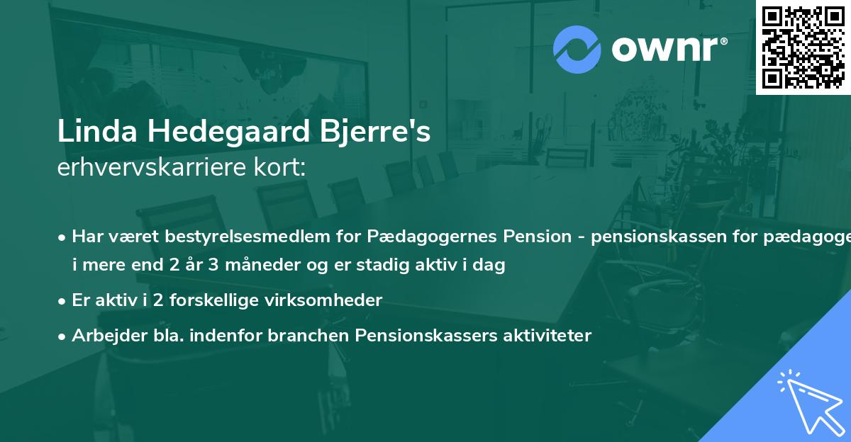 Linda Hedegaard Bjerre's erhvervskarriere kort
