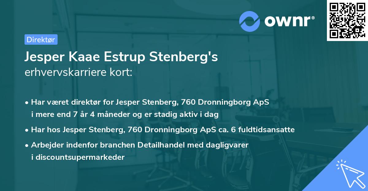 Jesper Kaae Estrup Stenberg's erhvervskarriere kort