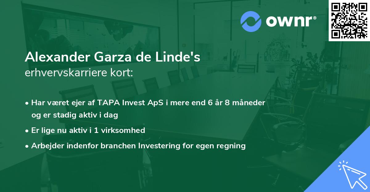 Alexander Garza de Linde's erhvervskarriere kort
