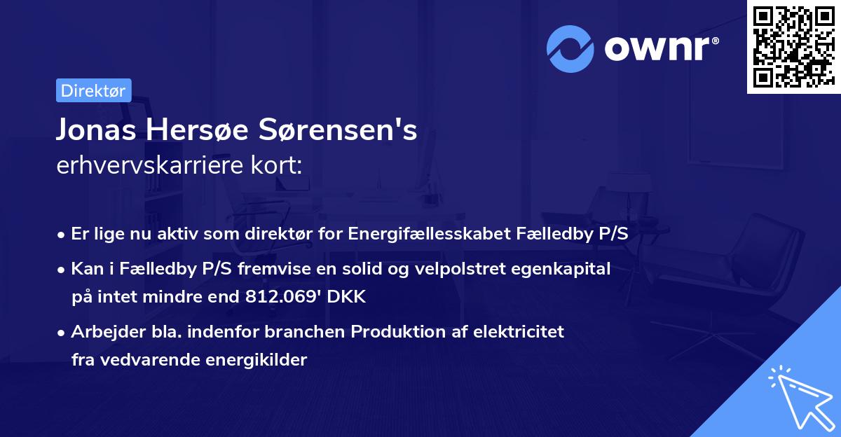 Jonas Hersøe Sørensen's erhvervskarriere kort