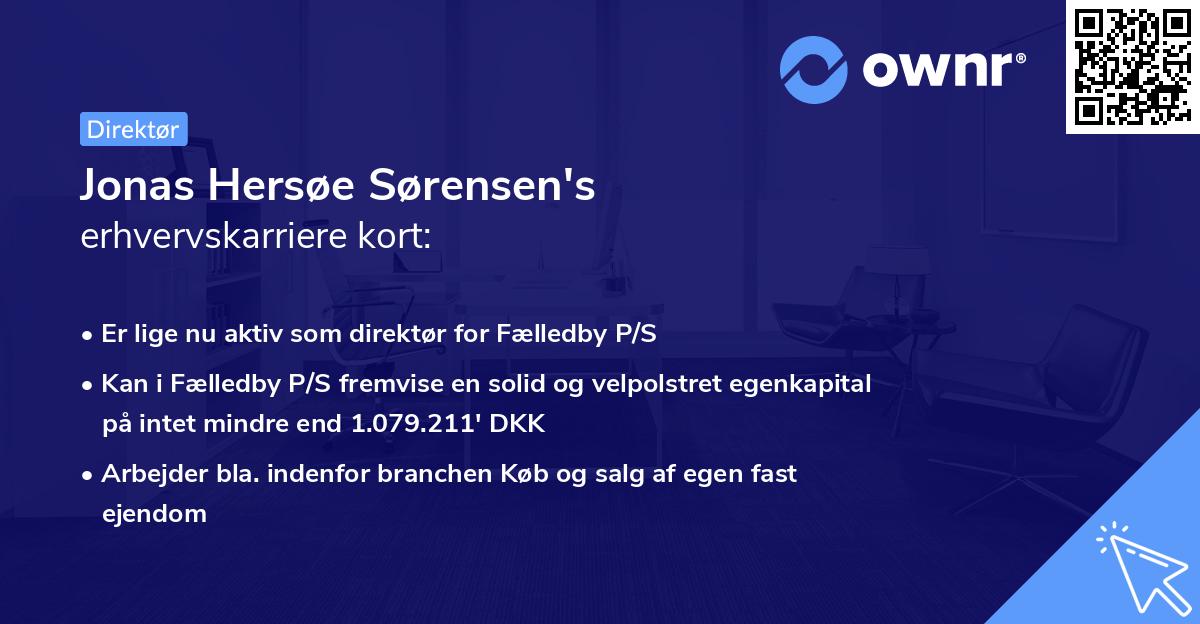 Jonas Hersøe Sørensen's erhvervskarriere kort