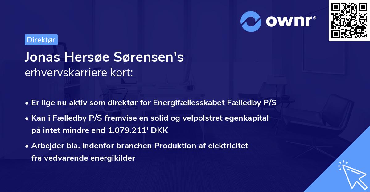 Jonas Hersøe Sørensen's erhvervskarriere kort