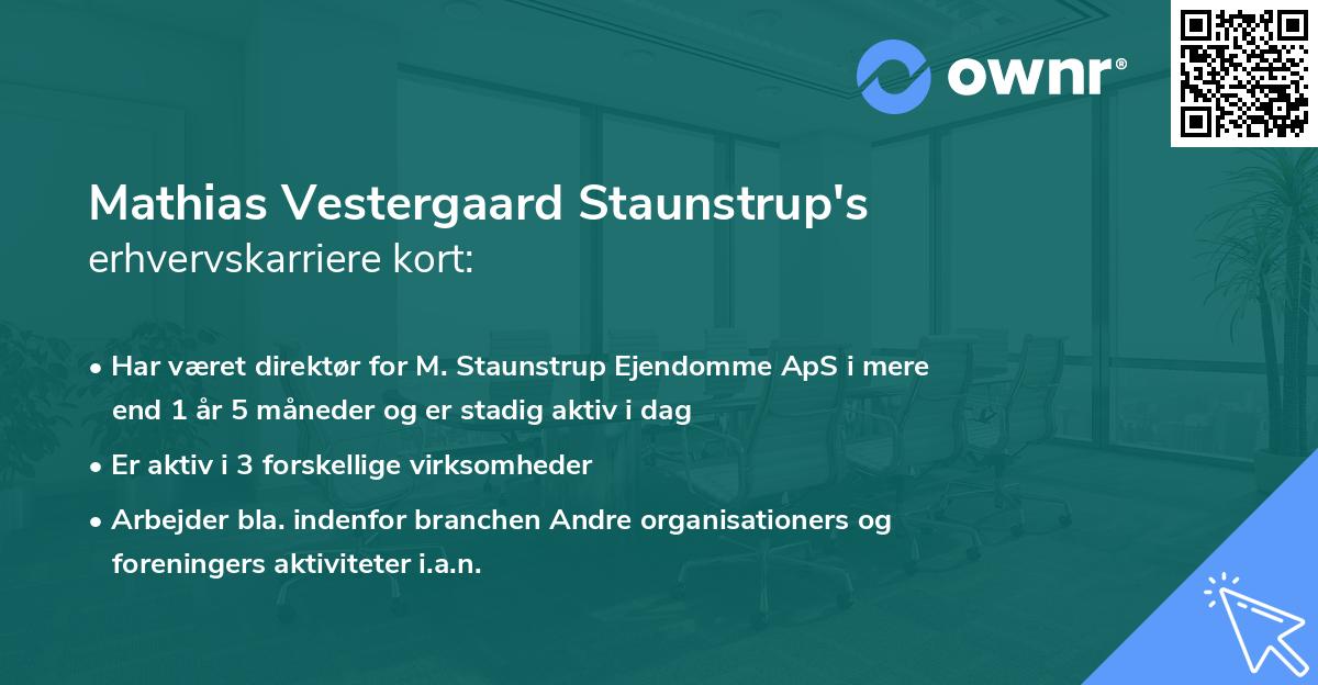 Mathias Vestergaard Staunstrup's erhvervskarriere kort