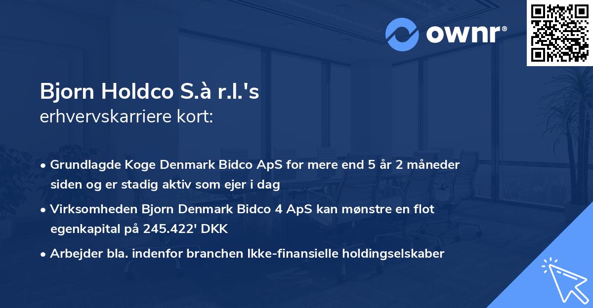 Bjorn Holdco S.à r.l.'s erhvervskarriere kort