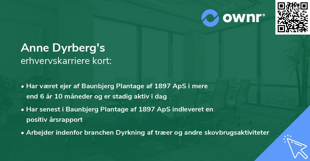 Anne Dyrberg's erhvervskarriere kort