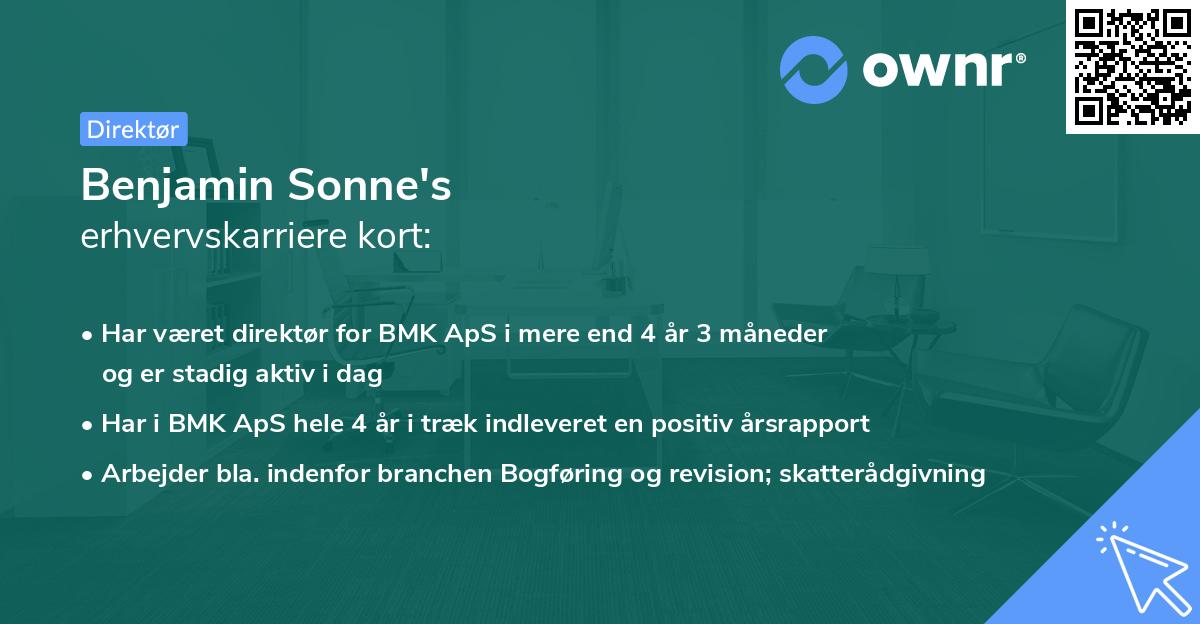 Benjamin Sonne's erhvervskarriere kort