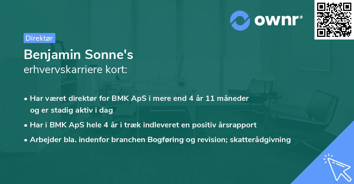 Benjamin Sonne's erhvervskarriere kort