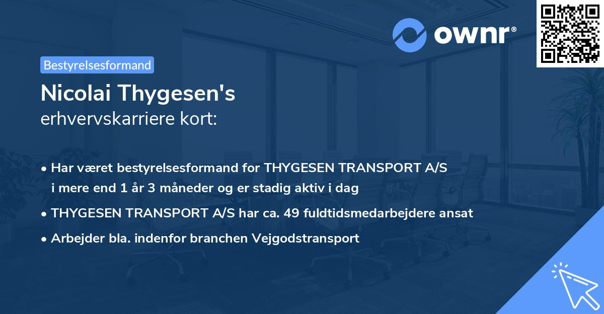 Nicolai Thygesen's erhvervskarriere kort