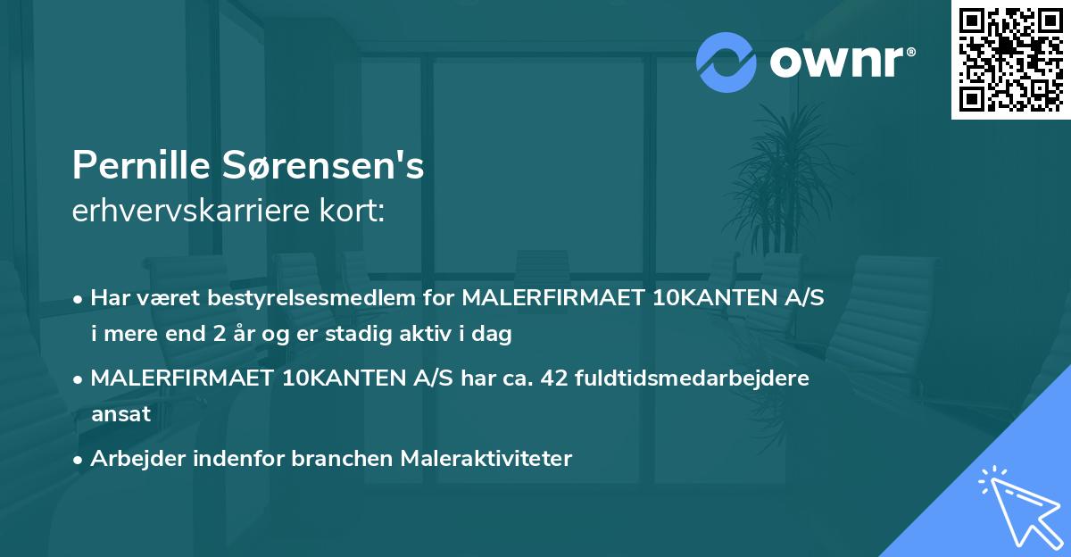 Pernille Sørensen's erhvervskarriere kort