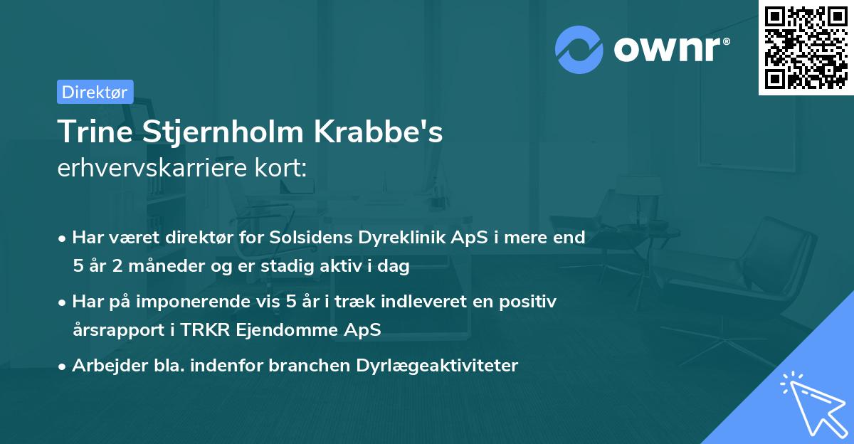 Trine Stjernholm Krabbe's erhvervskarriere kort