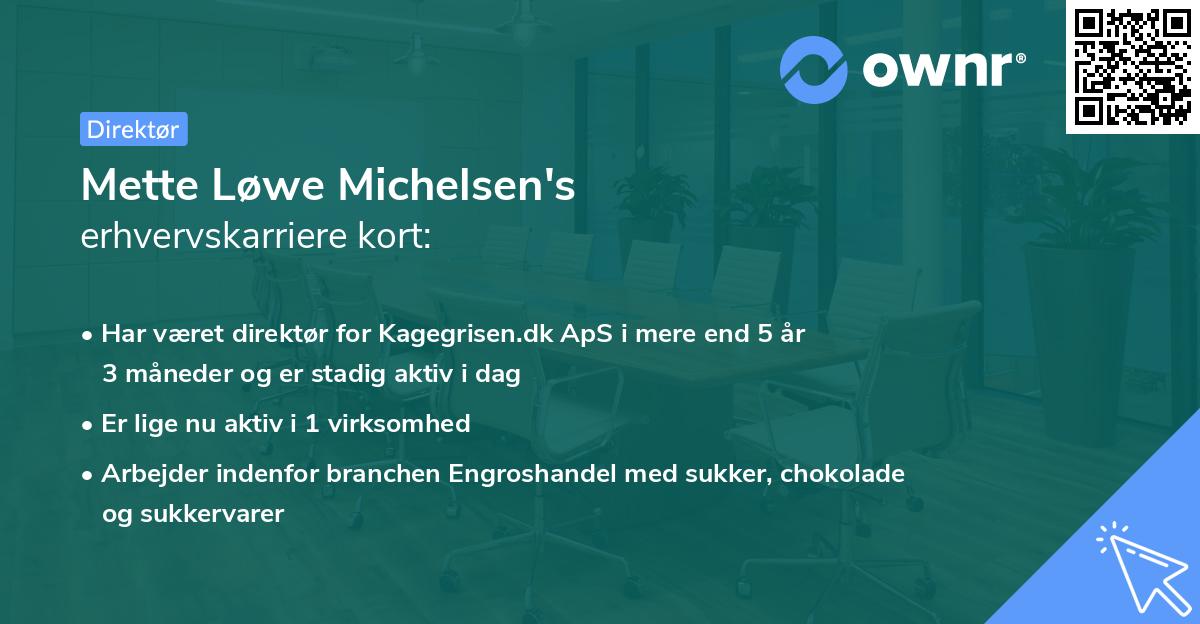 Mette Løwe Michelsen's erhvervskarriere kort