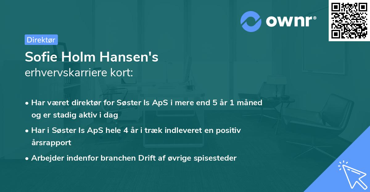 Sofie Holm Hansen's erhvervskarriere kort