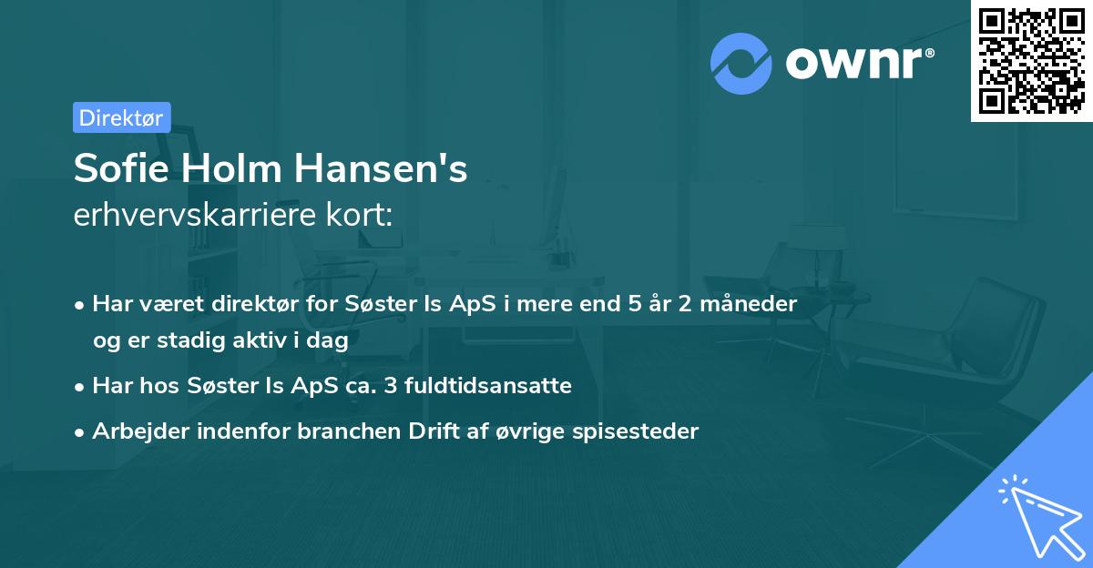 Sofie Holm Hansen's erhvervskarriere kort
