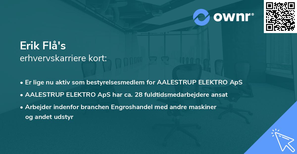 Erik Flå's erhvervskarriere kort