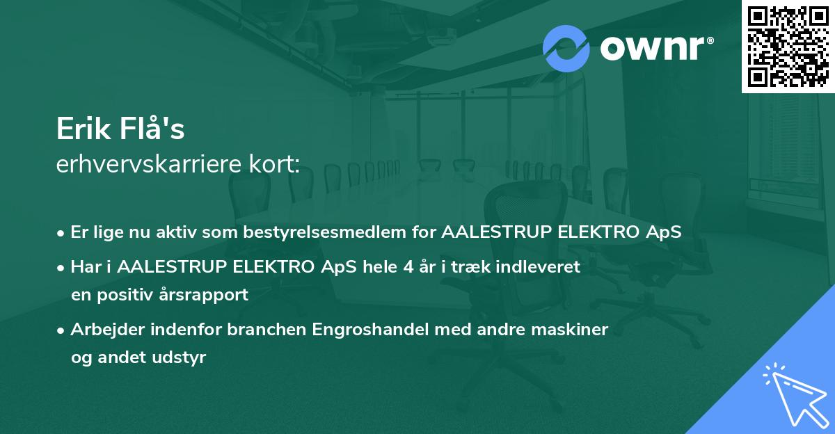 Erik Flå's erhvervskarriere kort