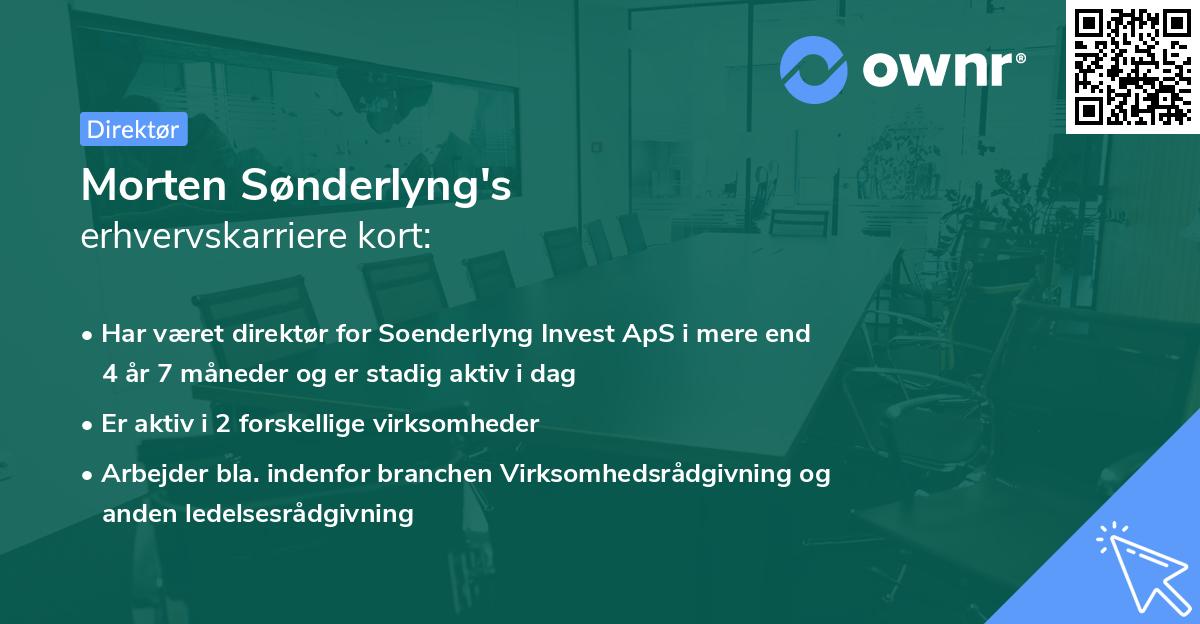 Morten Sønderlyng's erhvervskarriere kort