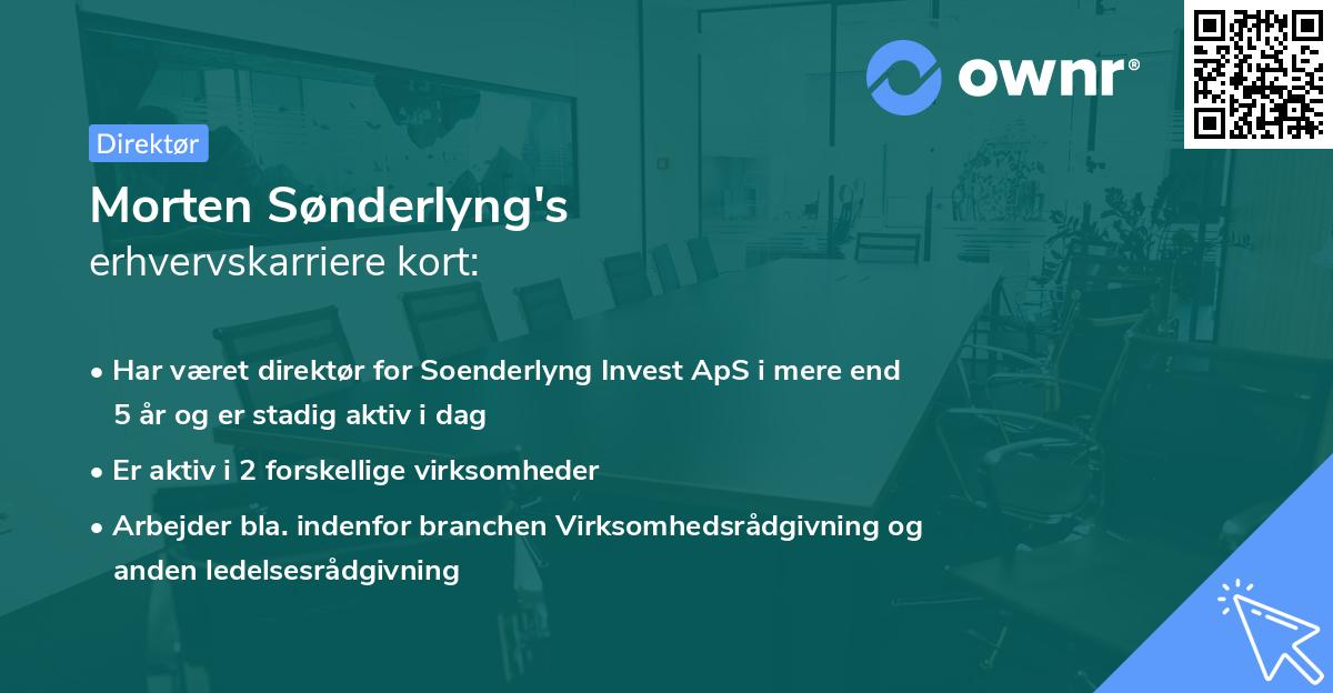 Morten Sønderlyng's erhvervskarriere kort