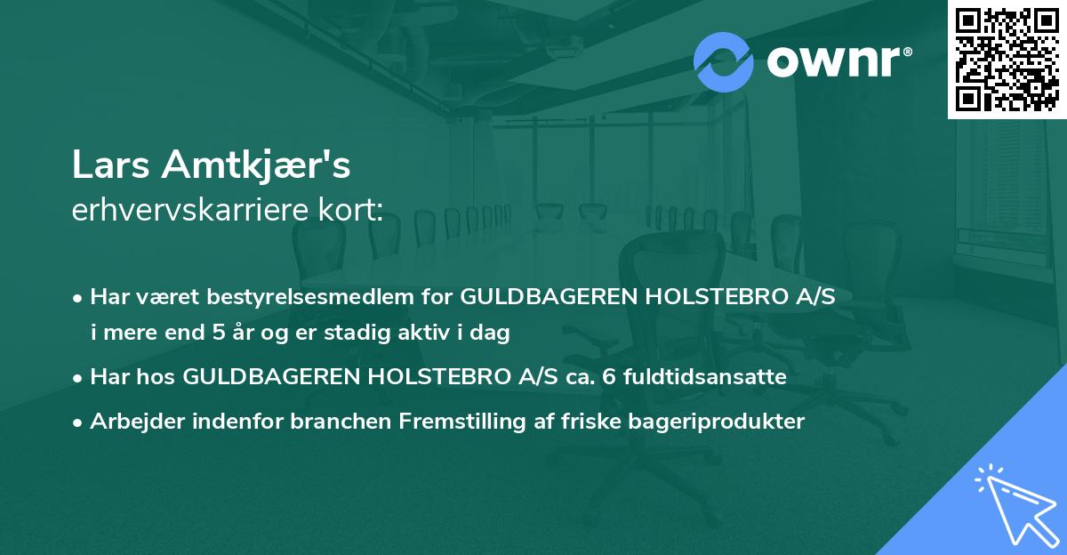 Lars Amtkjær's erhvervskarriere kort