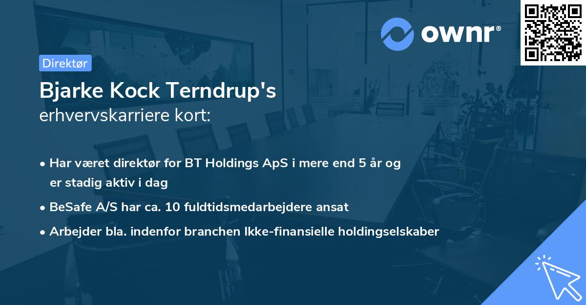 Bjarke Kock Terndrup's erhvervskarriere kort